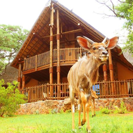 Kololo Game Reserve Ваальватер Экстерьер фото