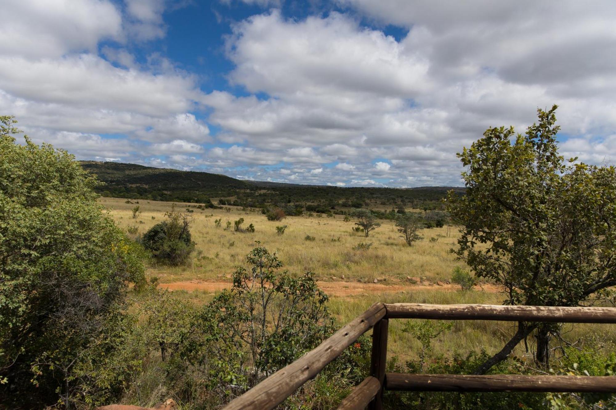 Kololo Game Reserve Ваальватер Экстерьер фото