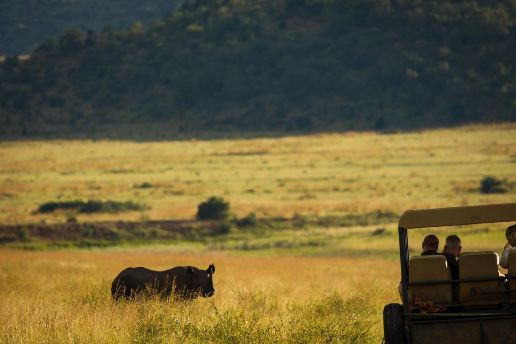 Kololo Game Reserve Ваальватер Экстерьер фото