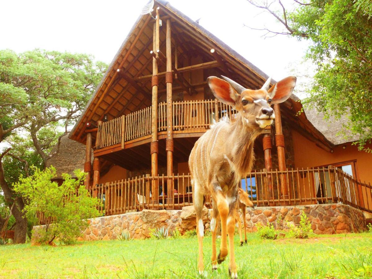 Kololo Game Reserve Ваальватер Экстерьер фото